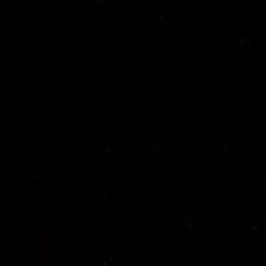 Meet your Posher, Dexter